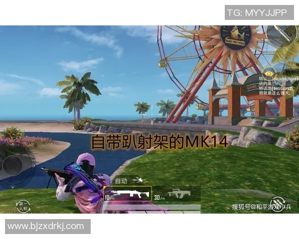 esports数据和平精英战术V5中路突破体系的全面解析与实战应用技巧分享